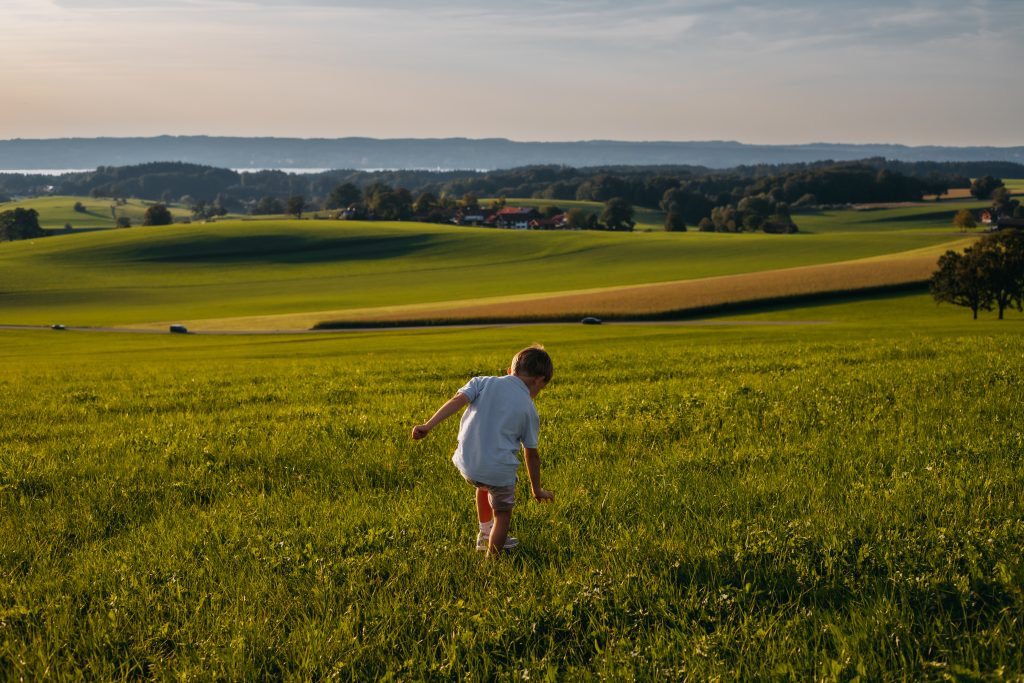 Junge pflückt Blumen auf einer Wiese